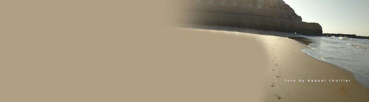 slider01b